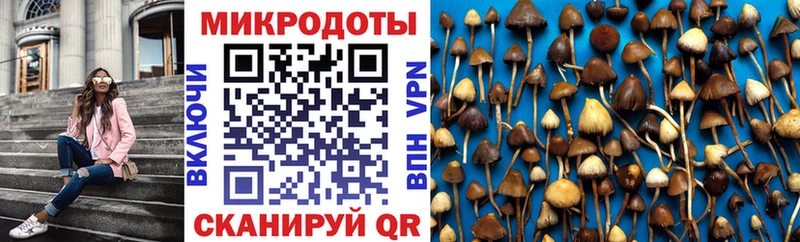 Псилоцибиновые грибы Psilocybine cubensis  наркошоп  hydra как зайти  Гаврилов Посад 